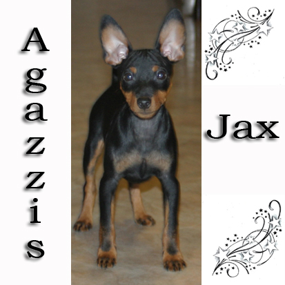 jax